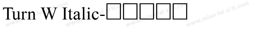 Turn W Italic字体转换